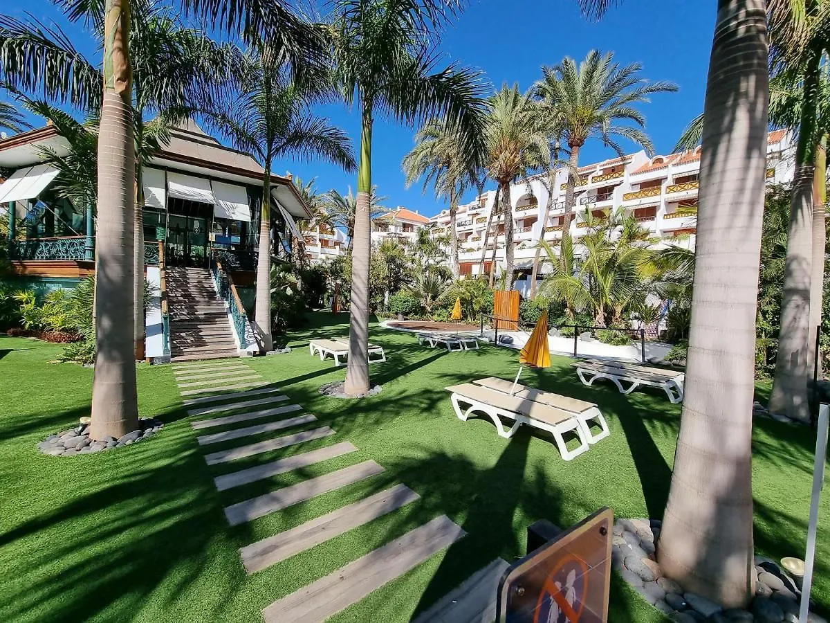 Studio No 2 Just 100 To Beach And Sea, Large Terrace, Heated Pool, Wifi, Aircondition For A Fee Πλάγια ντε λας Αμέρικας Διαμέρισμα